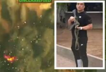 En un contundente e histórico golpe al Tren de Aragua, las fuerzas militares de EE. UU. y Venezuela abaten a 'Niño Guerrero' durante un despliegue táctico conjunto ejecutado el viernes por la noche en el estado Bolívar, confirmando la neutralización definitiva del criminal más buscado del hemisferio.