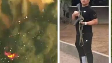 En un contundente e histórico golpe al Tren de Aragua, las fuerzas militares de EE. UU. y Venezuela abaten a 'Niño Guerrero' durante un despliegue táctico conjunto ejecutado el viernes por la noche en el estado Bolívar, confirmando la neutralización definitiva del criminal más buscado del hemisferio.