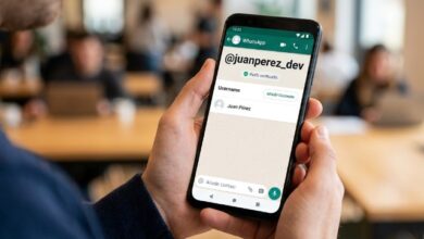 WhatsApp ha anunciado un cambio histórico en su plataforma. La aplicación de mensajería más utilizada del mundo, propiedad de Meta, dejará de exigir el número de teléfono para que los usuarios puedan chatear entre sí.
