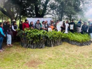 En un esfuerzo coordinado para mitigar el impacto ambiental y asegurar los recursos hídricos de la región, el Gobierno Municipal de Zacatlán puso en marcha una jornada de restauración ecológica en la comunidad de Metepec
