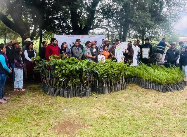 En un esfuerzo coordinado para mitigar el impacto ambiental y asegurar los recursos hídricos de la región, el Gobierno Municipal de Zacatlán puso en marcha una jornada de restauración ecológica en la comunidad de Metepec