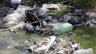 En los últimos siete meses, se han retirado un total de 60.5 toneladas de basura de ríos y barrancas en la capital poblana