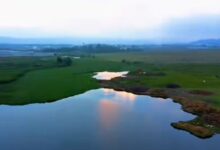 Con el uso de maquinaria estatal y en estrecha colaboración con el ayuntamiento local, la Secretaría de Medio Ambiente puso en marcha un plan de rescate integral en la Laguna de Chignahuapan, el cual tiene como meta eliminar 2 mil 200 toneladas de lirio acuático
