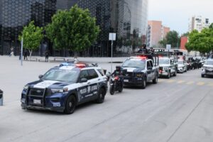 Policia Estatal