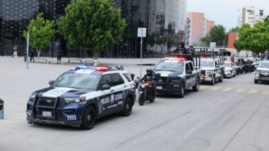 Policia Estatal