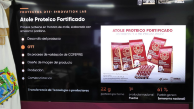 atole_noticias