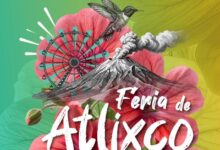 Con el objetivo de garantizar un acceso ordenado y equitativo, la presidenta municipal de Atlixco, Ariadna Ayala, dio a conocer los detalles operativos, horarios y puntos de venta oficiales para adquirir los boletos de la esperada Feria de Atlixco 2026