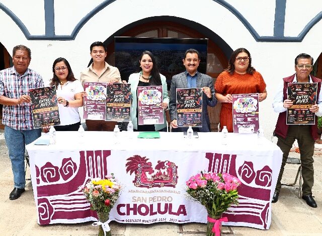 El Gobierno Municipal de San Pedro Cholula, a través de la Dirección de Deporte, abrió las inscripciones para el Curso de Verano 2026 "Entre Aves"