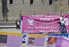 Con el objetivo de presionar a los padres inscritos en el Registro de Deudores Alimentarios para que se pongan al corriente con sus obligaciones, ingresó al Congreso del Estado de Puebla