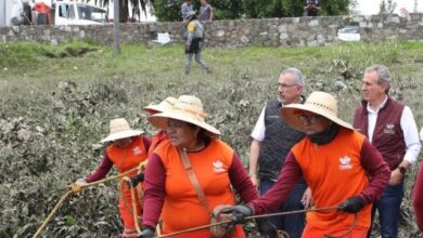 El presidente municipal de Puebla, Pepe Chedraui, informó que el Ayuntamiento cuenta con refugios temporales para atender a la población que resulte afectada por las recientes e intensas lluvias