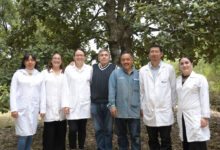 Científicos de la Benemérita Universidad Autónoma de Puebla (BUAP) diseñaron un tratamiento con nanomateriales a base de óxido de silicio (SiO₂) y extractos vegetales que elimina hasta en 90% la plaga del gusano barrenador y patógenos forestales