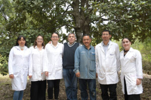 Científicos de la Benemérita Universidad Autónoma de Puebla (BUAP) diseñaron un tratamiento con nanomateriales a base de óxido de silicio (SiO₂) y extractos vegetales que elimina hasta en 90% la plaga del gusano barrenador y patógenos forestales