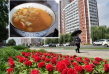 Los medios estatales de Corea del Norte promueven el consumo de sopa de perro y caldos tradicionales para sobrellevar temperaturas superiores a los 40 °C.