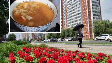 Los medios estatales de Corea del Norte promueven el consumo de sopa de perro y caldos tradicionales para sobrellevar temperaturas superiores a los 40 °C.