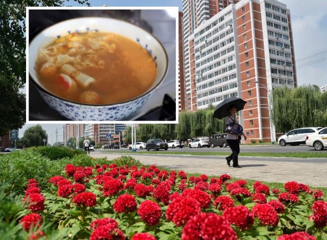 Los medios estatales de Corea del Norte promueven el consumo de sopa de perro y caldos tradicionales para sobrellevar temperaturas superiores a los 40 °C.