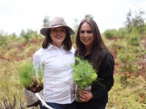 El Ayuntamiento de Zacatlán se sumó a la jornada estatal de reforestación organizada por el Gobierno del Estado de Puebla al plantar 10 mil árboles en el ejido de Rancho Nuevo