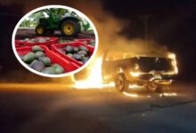 Estados Unidos suspendió la entrada de aguacate proveniente de Michoacán por un nuevo riesgo de seguridad detectado en las zonas de recolección y empaque.