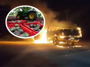 Estados Unidos suspendió la entrada de aguacate proveniente de Michoacán por un nuevo riesgo de seguridad detectado en las zonas de recolección y empaque.