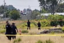 El cuerpo desnudo de un hombre, con huellas de violencia y afectaciones causadas por la fauna del lugar, fue localizado la mañana de este viernes 14 de agosto a un costado de la autopista Puebla-Orizaba, a la altura del municipio de Amozoc.