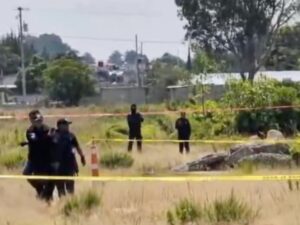 El cuerpo desnudo de un hombre, con huellas de violencia y afectaciones causadas por la fauna del lugar, fue localizado la mañana de este viernes 14 de agosto a un costado de la autopista Puebla-Orizaba, a la altura del municipio de Amozoc.