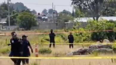 El cuerpo desnudo de un hombre, con huellas de violencia y afectaciones causadas por la fauna del lugar, fue localizado la mañana de este viernes 14 de agosto a un costado de la autopista Puebla-Orizaba, a la altura del municipio de Amozoc.