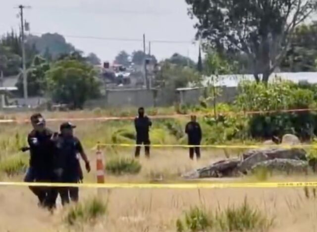 El cuerpo desnudo de un hombre, con huellas de violencia y afectaciones causadas por la fauna del lugar, fue localizado la mañana de este viernes 14 de agosto a un costado de la autopista Puebla-Orizaba, a la altura del municipio de Amozoc.