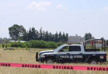 El cuerpo desnudo de un hombre, con huellas de violencia y afectaciones causadas por la fauna del lugar, fue localizado la mañana de este viernes 14 de agosto a un costado de la autopista Puebla-Orizaba, a la altura del municipio de Amozoc.