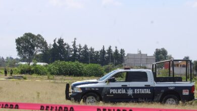 El cuerpo desnudo de un hombre, con huellas de violencia y afectaciones causadas por la fauna del lugar, fue localizado la mañana de este viernes 14 de agosto a un costado de la autopista Puebla-Orizaba, a la altura del municipio de Amozoc.