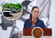 La presidenta Claudia Sheinbaum confirmó un plan de seguridad integral para resguardar a los inspectores de Estados Unidos, empacadores y productores de aguacate en Michoacán.