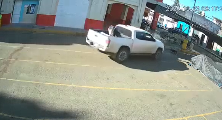 El brutal atropellamiento de Toby en Ajalpan, Puebla