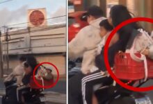 Familia viaja en moto y transporta a su bebé en caja de plástico Conoce las multas por hacer algo así