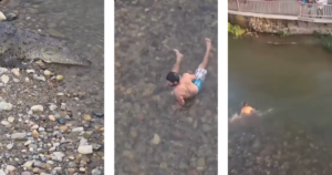 Hombre sobrevive de milagro tras desafiar a un cocodrilo en el Río Cuale, Puerto Vallarta ¿Cuáles son las sanciones por desafiar a la fauna silvestre y por grabar sin actuar