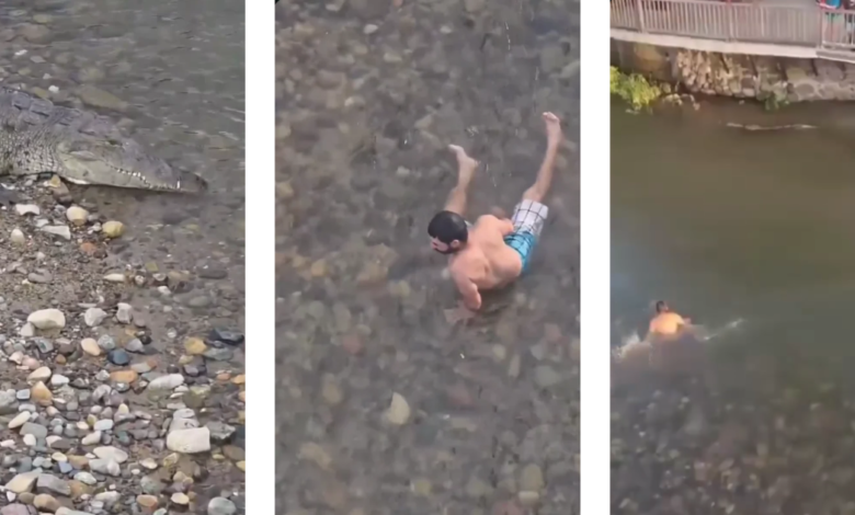 Hombre sobrevive de milagro tras desafiar a un cocodrilo en el Río Cuale, Puerto Vallarta ¿Cuáles son las sanciones por desafiar a la fauna silvestre y por grabar sin actuar