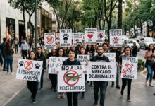 Marcha en Polanco contra la venta de animales exóticos