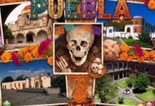 La Secretaría de Cultura del Gobierno de México ha preparado una serie de actividades en sus distintos museos y zonas arqueológicas en Puebla, a propósito de las celebraciones por el Día de Muertos, con el objetivo de preservar las tradiciones y promover el conocimiento del patrimonio cultural de la entidad.