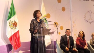México necesita más científicos para ampliar su desarrollo. Aunque hay ciencia básica y de frontera, se requiere mayor impulso, así como una mayor presencia de mujeres, afirmó la secretaria de Ciencia, Humanidades, Tecnología e Innovación, Rosaura Ruiz Gutiérrez, durante su visita a Puebla